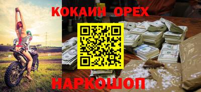 крисы Можга