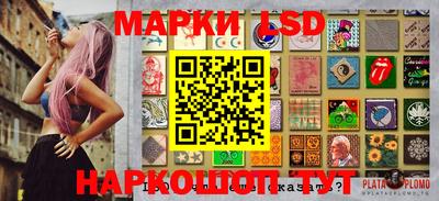 крисы Можга
