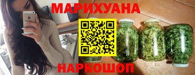 крисы Можга