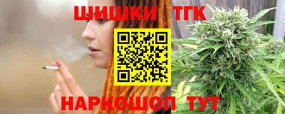 крисы Можга