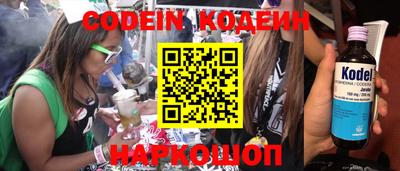 крисы Можга