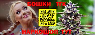 крисы Можга