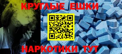 крисы Можга