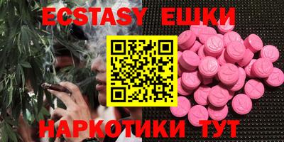 крисы Можга