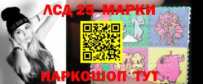 Альфа ПВП Моздок
