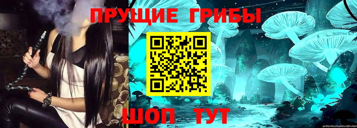 Бузулук  Псилоцибиновые грибы GOLDEN TEACHER  Галлюциногенные грибы ЛСД  Вход с VPN 
